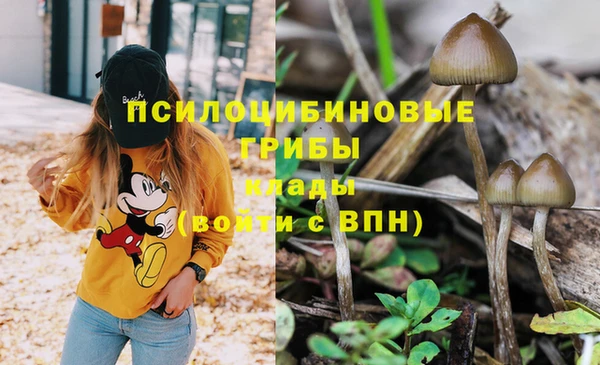дурь Новокубанск