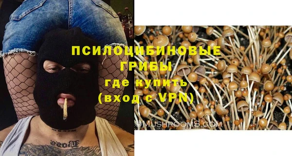 спиды Нея