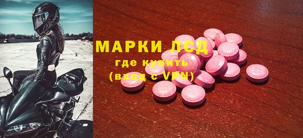 дживик Новозыбков