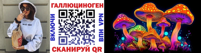 Галлюциногенные грибы мицелий  дарнет шоп  Отрадная 